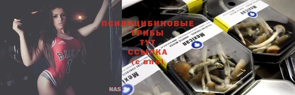 2c-b Беломорск