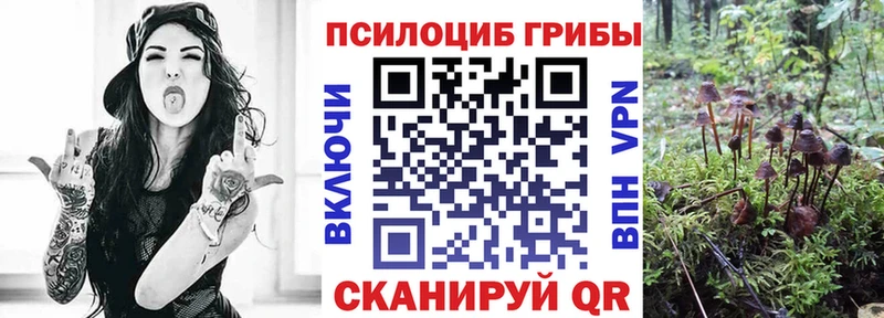 Псилоцибиновые грибы Psilocybine cubensis  Славгород 