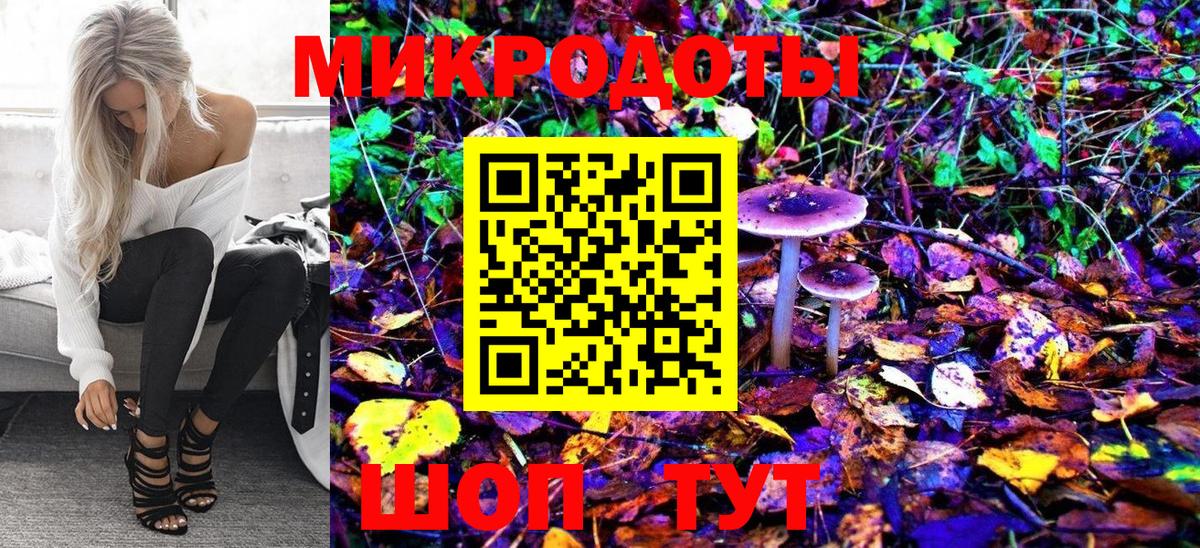 Славгород  Галлюциногенные грибы ЛСД  Вход с VPN 