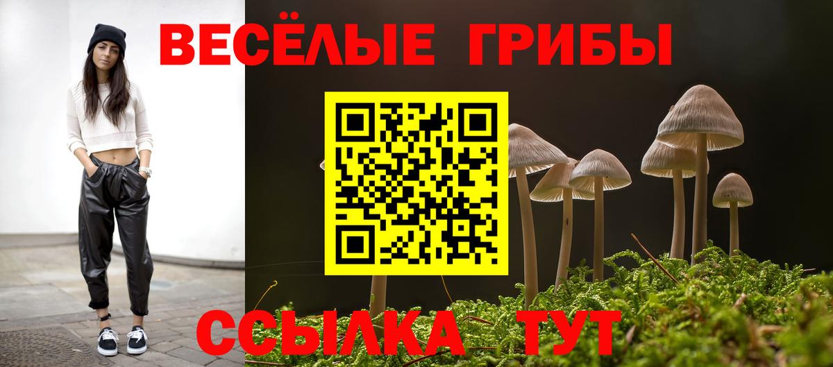 Псилоцибиновые грибы ЛСД Славгород