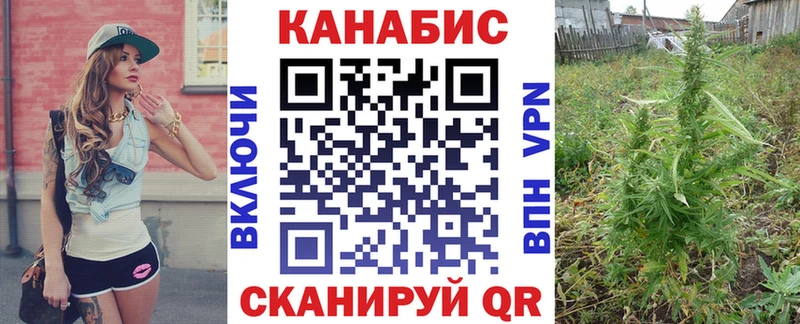 купить  цена  Славгород  Канабис THC 21% 